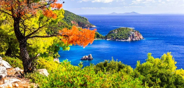 Beautiful beaches and nature of Skopelos island. Stafilos bay. Greece 