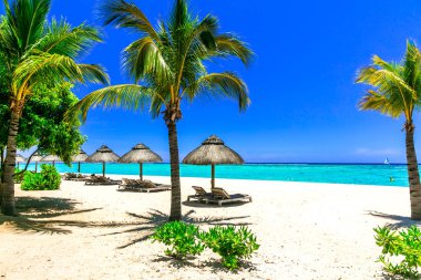 rahatlatıcı tropikal tatil - sandalye ve şemsiye beyaz kum, Mauritius Adası.