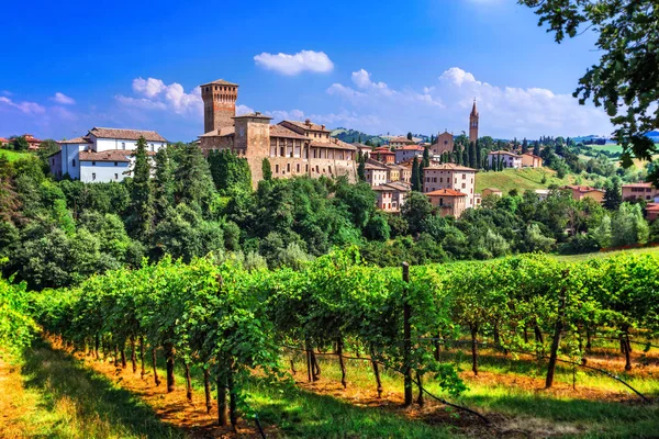 浪漫的藤蔓路线与中世纪城堡在意大利 艾米利亚 罗马涅大区 — 图库照片