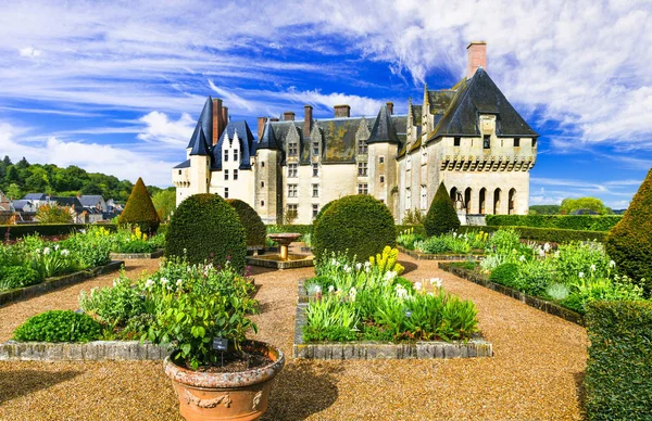 Tereptárgyak Franciaország Kastélyok Loire Völgy Langeais Megpihenve Nézd Kertek — Stock Fotó