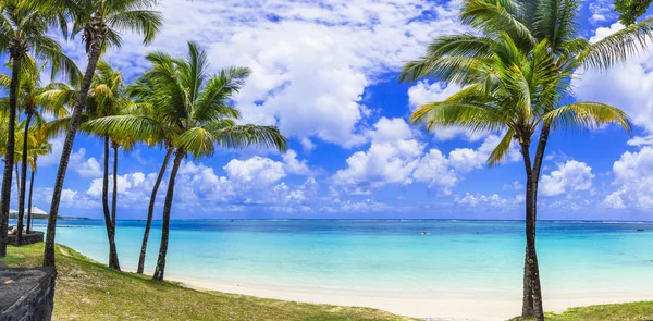 Dokonalé Tropické Pláži Scenérie Palmami Tyrkysové Moře Ostrov Mauritius — Stock fotografie