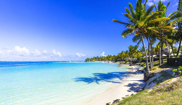 amazing tropical beach scenery. Mauritius island, Bel mare beach.