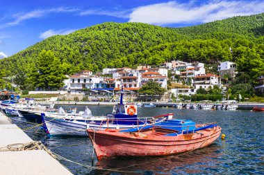 Güzel yeşil Skopelos Island - geleneksel balıkçı köyü Neo Klima.Greece.