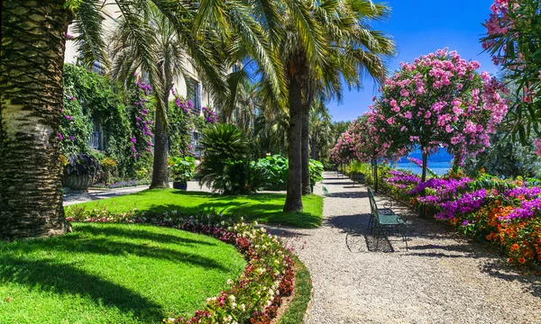 Lago Maggiore Vackra Isola Madre Med Vackra Blomsterträdgårdar Norra Italien — Stockfoto