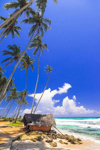 Praias Bonitas Selvagens Sri Lanka Weligama Sul Ilha — Fotografia de Stock