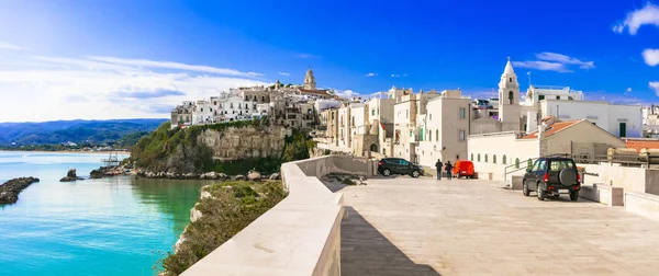 Pięknej Miejscowości Vieste Widok Panoramiczny Puglia Włochy — Zdjęcie stockowe