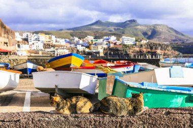 Puerto de Sardina - traditional fishing village in Gran Canaria.Spain. clipart