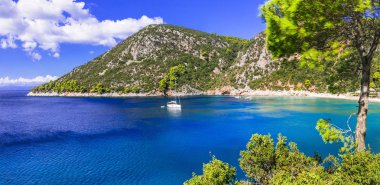 Skopelos Island pitoresk Limnonari defne. Sporades.Greece Kuzey