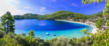Güzel Panormos Skopelos - en iyi plajları defne. Sporades Adası. Yunanistan.