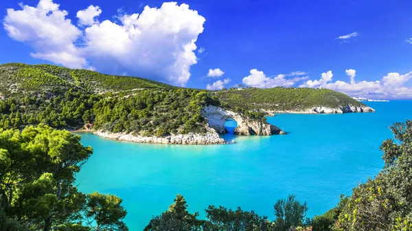 Vacaciones italianas en Puglia - Parque natural Gargano con hermoso mar y rocas . — Foto de Stock