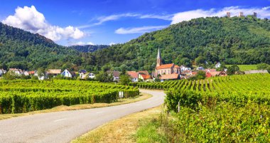 Alsace bölgesinde, Fransa etkileyici üzüm bağları.