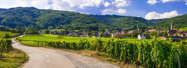 Elsässische Region von Frankreich - berühmte "Weinstraße". Blick auf bunte Weinberge. — Stockfoto