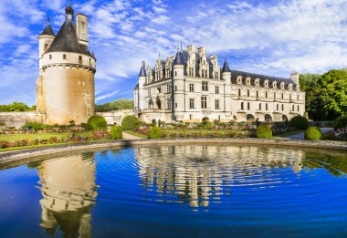 Romantik Chenonceau castle. Fransa Loire Vadisi'nin güzel kaleleri.