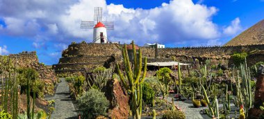 Kaktüs garden - popüler cazibe ve landmark Lanzarote, İspanya.