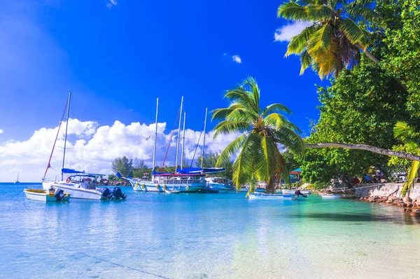 Seyşeller Adası tatil tropikal - küçük marina Praslin Adası. — Stok fotoğraf