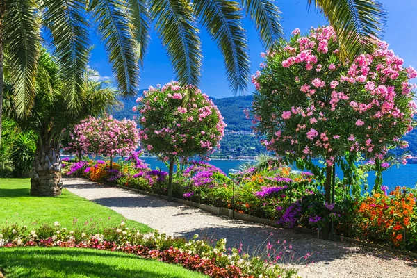 Prachtige tuinen van de beroemde Italiaanse Lake Lago mggiore. Isola Madre. — Stockfoto