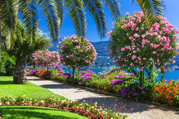 Beautiful gardens ,view with flowers,trees and lake,Isola Madre,North Italy