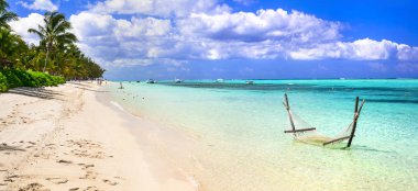  Mauritius adası tatili. Hamak ve turkuaz denizli güzel sahil manzarası.