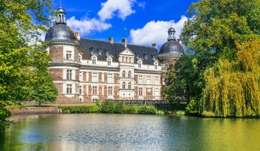 Loire vadisinin ünlü kaleleri - güzel romantik Chateau de Serrant, Fransa.