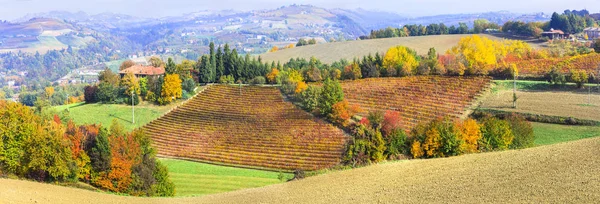 Colorful Vineyards Tuscany Region Italy — Stock Photo, Image