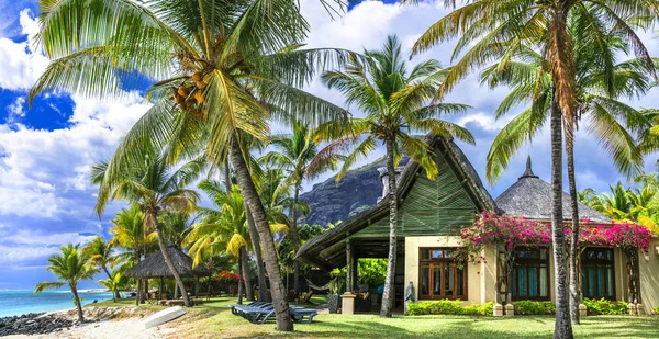 Trópusi paradicsom - egzotikus luxus nyaralás Mauritius-szigeten. — Stock Fotó
