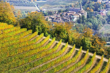 Sarı üzüm bağları ve küçük bir köy ile Piedmont Pitoresk kırsal. İtalya.
