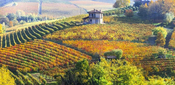 Pittoresca campagna piemontese con vigneti gialli e piccolo borgo . — Foto Stock