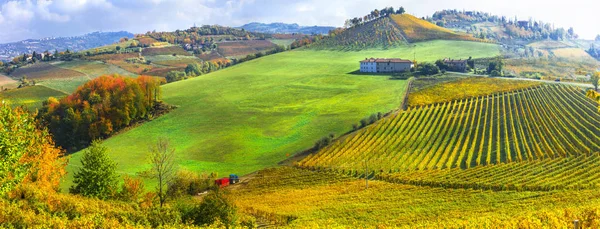 Autumn scenery, Vineyards in contryside of Piedmont, Italy. — Stock Photo, Image