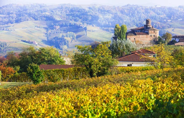 Golden szőlőültetvények és vár Piemont. Olaszország borvidéke. — Stock Fotó