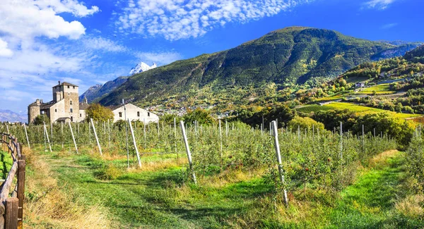 Etkileyici Alpler dağları, kaleler ve bağlardan oluşan manzaralı vadi, Valle d Aosta, İtalya. — Stok fotoğraf