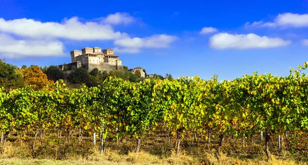 Vingårdar och vackra medeltida slott i Italien-Torrechiara . — Stockfoto