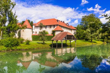 Slovenya 'nın ortaçağ Grad Otocec adasındaki güzel romantik şato.