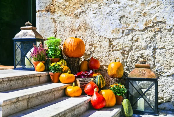 Autumn decoration with pumpkins. still life outdoor. — Stock Photo, Image