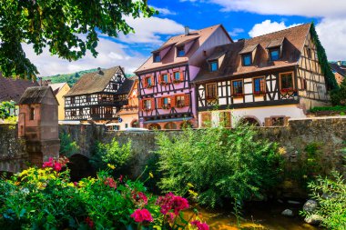 Alsace bölgesinin güzel kırsalları Fransa 'nın ünlü 