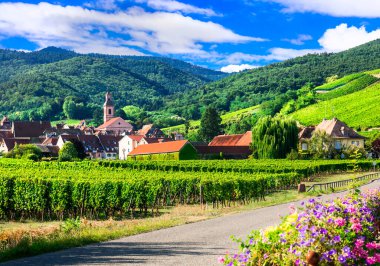 Alsace bölgesinin güzel kırsalları Fransa 'nın ünlü 