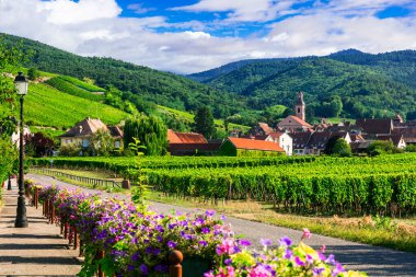 Alsace bölgesinin güzel kırsalları Fransa 'nın ünlü 