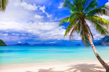 Muhteşem huzurlu doğa manzarası - El Nido 'nun tropikal plajı. Palawan Adası, Filipinler