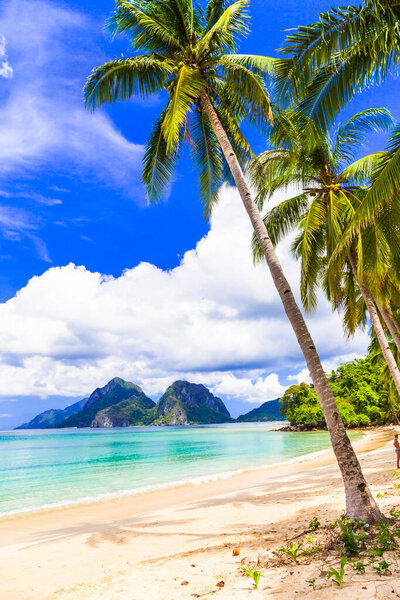 Wonderful idyllic nature scenery - tropical beach with cocnut palm trees. El Nido. Palawan island , Philippines