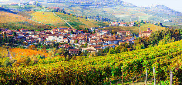 Golden vineyards and picturesque village Barolo of Piedmont. famous wine region of northern Italy