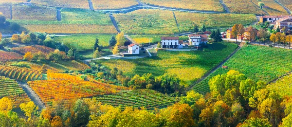 Zlaté Vinice Malebné Vesnice Piemontu Slavná Vinařská Oblast Severní Itálie — Stock fotografie