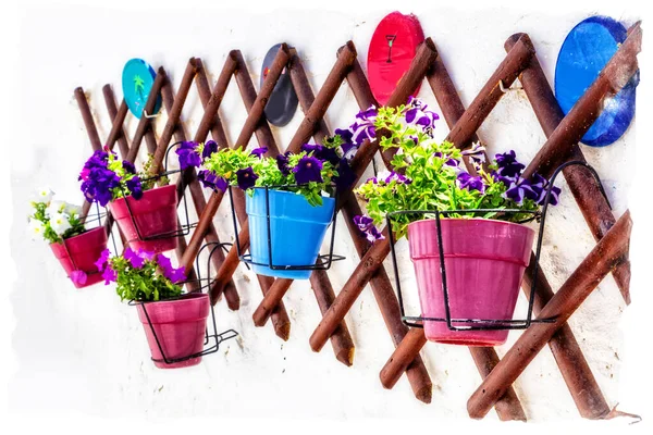 Decoración Pared Floral Estilo Rústico Ideas Para Diseño Jardinería Isla — Foto de Stock