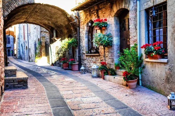 Okouzlující Staré Středověké Vesnice Itálie Typickými Květinovými Úzkými Uličkami Assisi — Stock fotografie