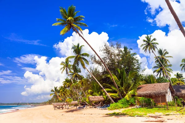 Esotico Tropicale Olandese Tranquille Belle Spiagge Dell Isola Dello Sri — Foto Stock