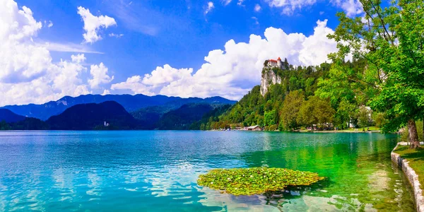 スロベニアの素晴らしい湖 ヨーロッパで最も美しいの一つ — ストック写真
