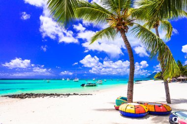 Tropical beach scenery . vacation in paradise island Mauritius