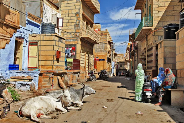 Dagelijks Leven Van Indiase Oude Stad Jaisalmer Mensen Koeien Straat — Stockfoto