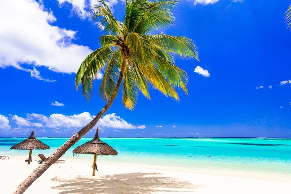 Perfeito Cenário Praia Tropical Palmeiras Sobre Mar Azul Turquesa Areia — Fotografia de Stock