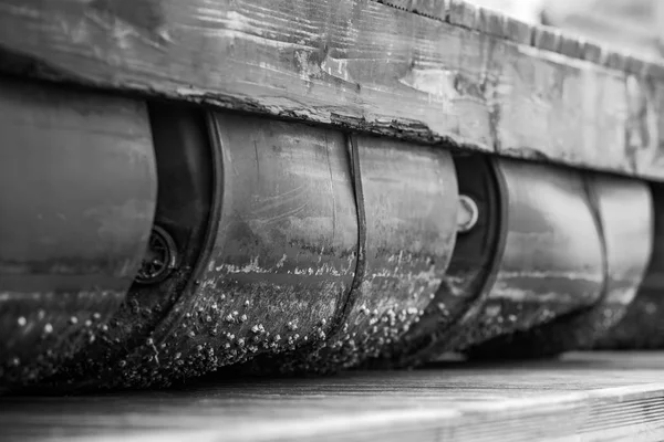 Deniz tinged istiridye alt