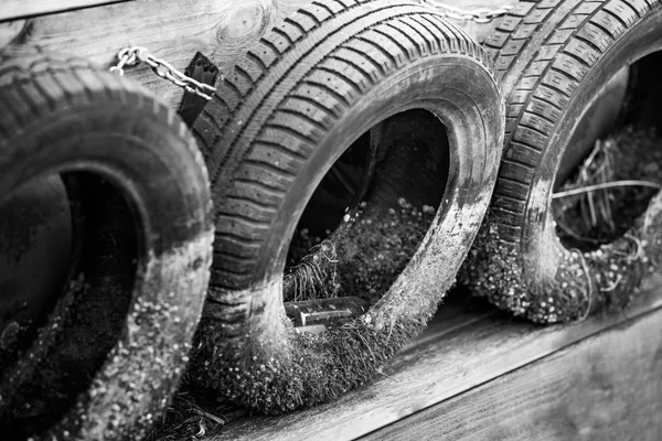 Neumáticos con incrustaciones marinas y almejas —  Fotos de Stock