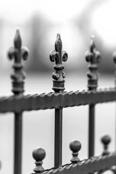 Kované ploty, dekorace — Stock fotografie